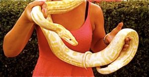 Skærmbillede 2012-07-28 kl. 12.40