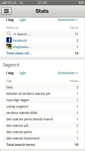 - oplevede på den hårde måde, at selvom man forsøger at være 99 procent sober og en enkelt procent smålummer på internettet, så formår Google alligevel at vende statistikken på hovedet