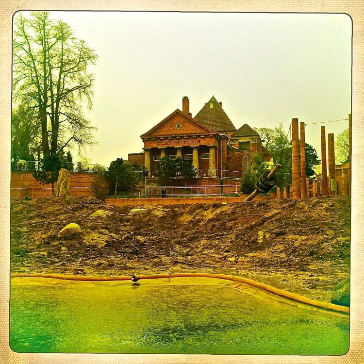 elefanthus_i_regnvejr