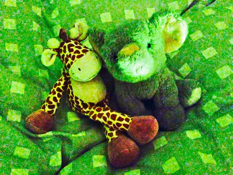 bodil_II_og_nixon_II