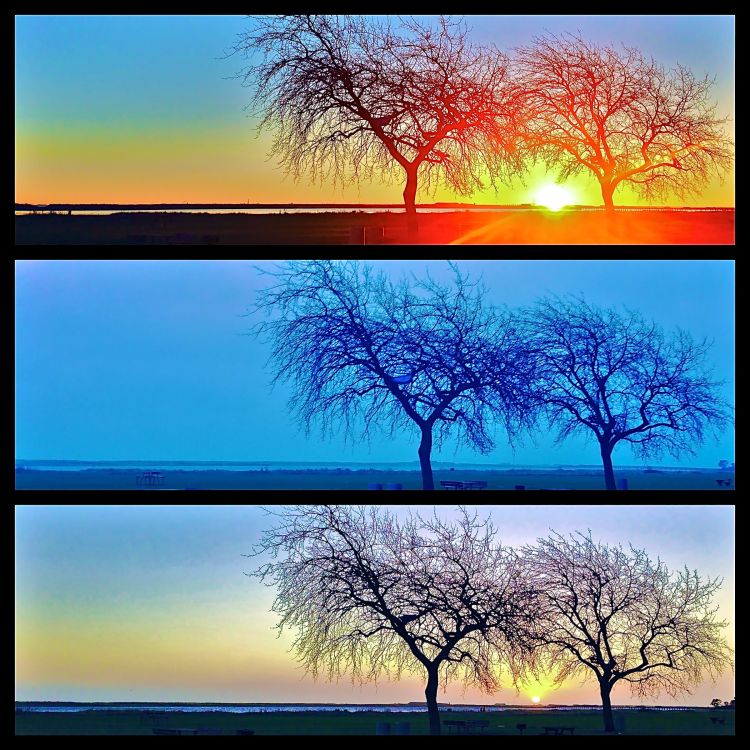 Samme strand, samme tidspunkt, tre morgener i træk.